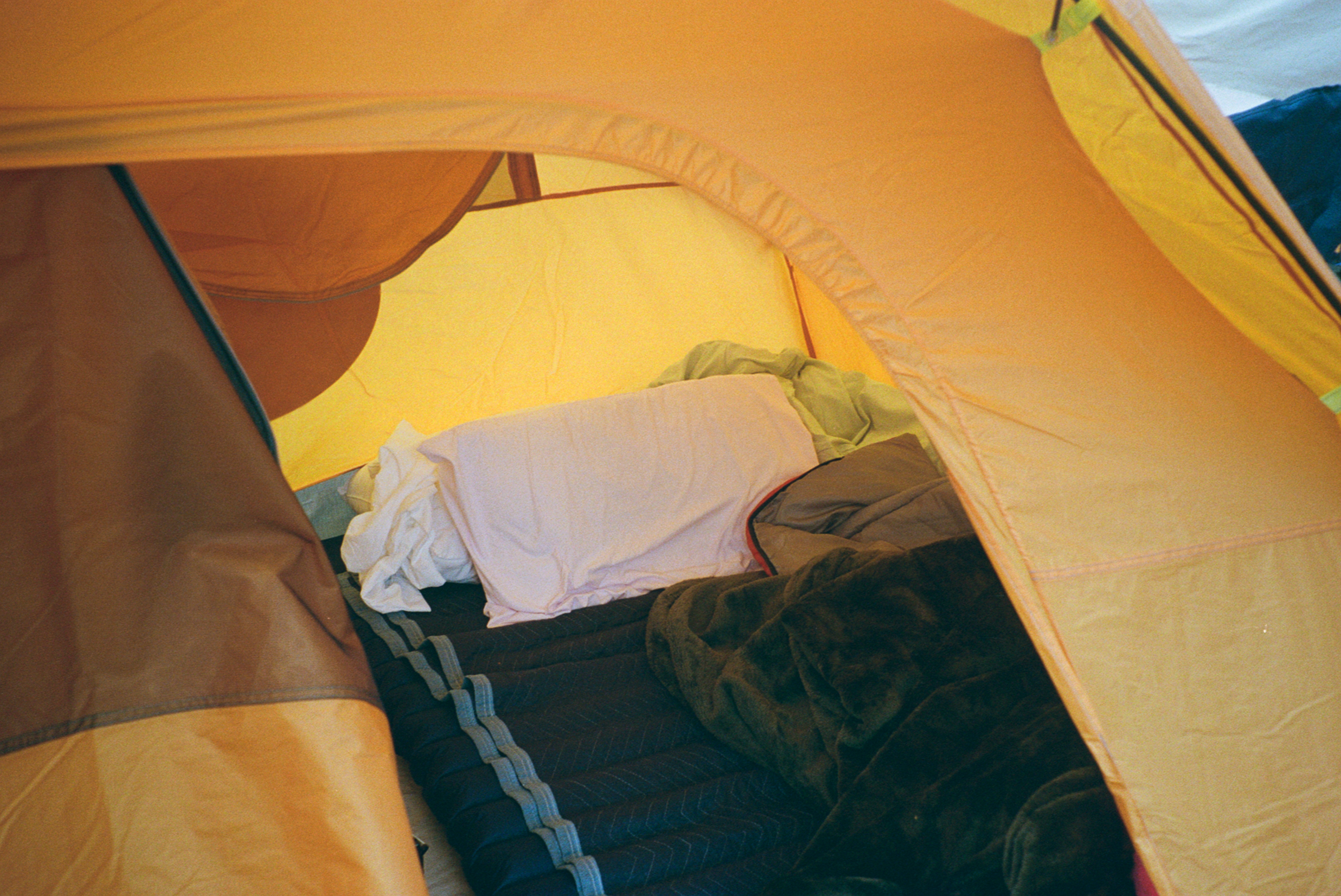 PLACEHOLDER — encampment (2024)