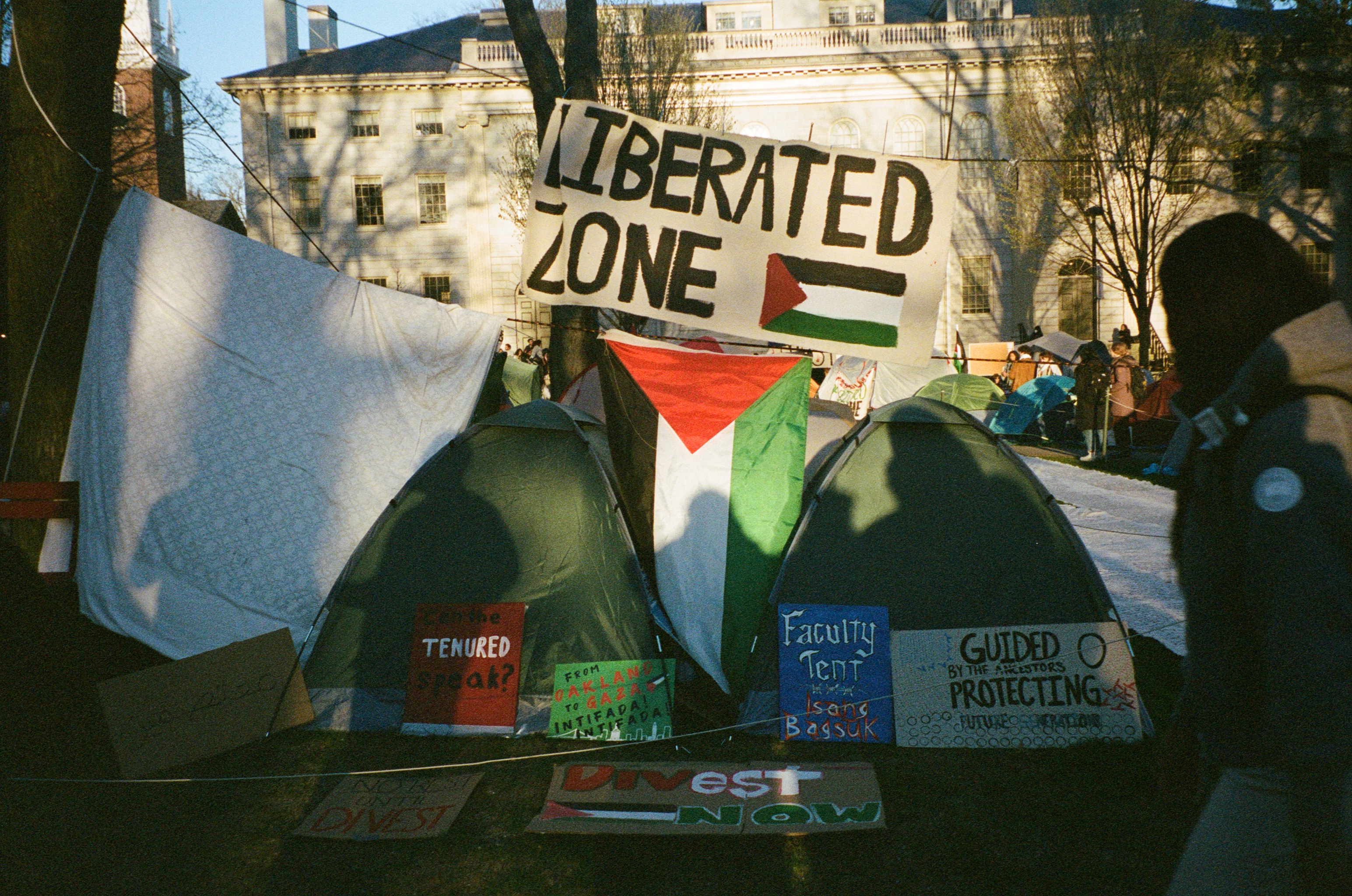 PLACEHOLDER — encampment (2024)
