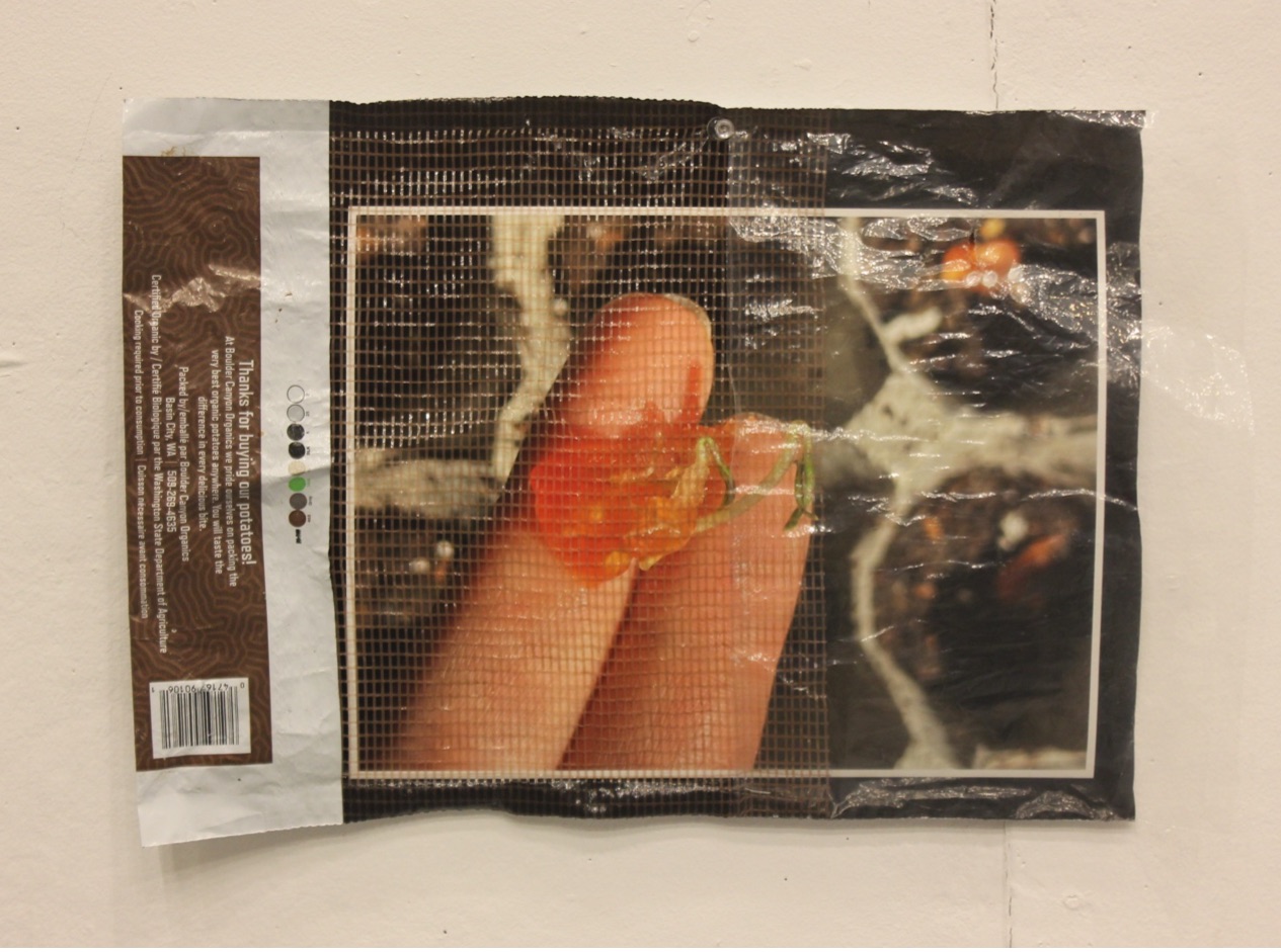 PLACEHOLDER — ephemera